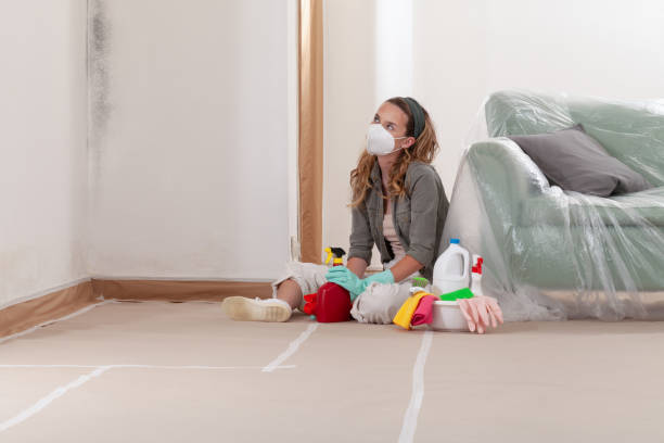 Reliable Mold Remediation contractor in Brookeville, MD by 24 Hour Mold Removal
